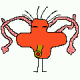 Cunthater