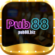 pub88bizz
